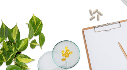 Vaginal Infections Treatment Protocol