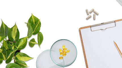 Urinary Tract Infections & Cystitis Protocol