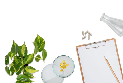 Menopause and Perimenopause Treatment Protocol