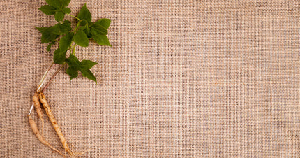 Stressed? 5 Reasons To Try Ginseng