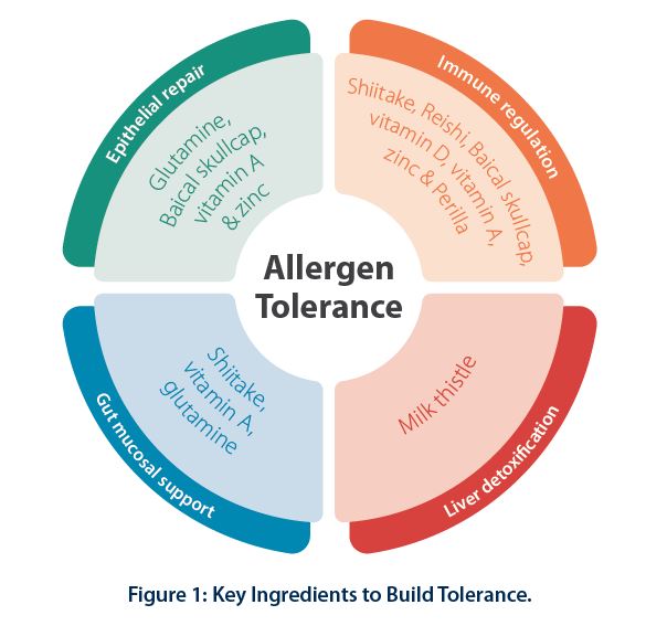 Figure 1 Key Ingredients to Build Tolerance