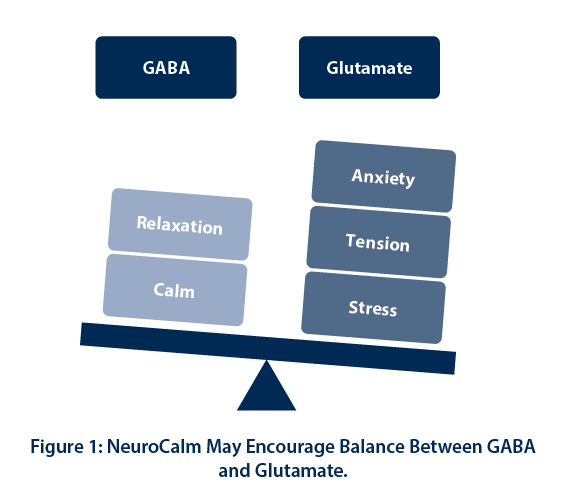 Figure 1 NeuroCalm May Encourage Balance Between GABA and Glutamate