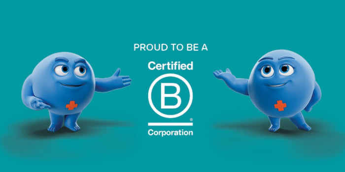 B corporation certified