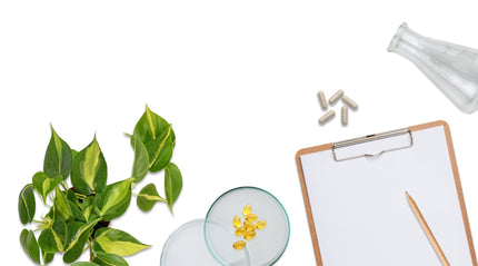 Addiction Treatment Protocol