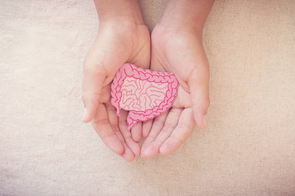Triple Action for Tummy Trouble: How Pre-, Pro- and Postbiotics Team Up for Gut Greatness