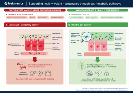 Supporting healthy weight maintenance through gut-metabolic pathways