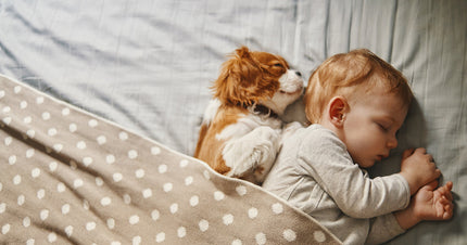 How probiotics can help support your child’s immunity