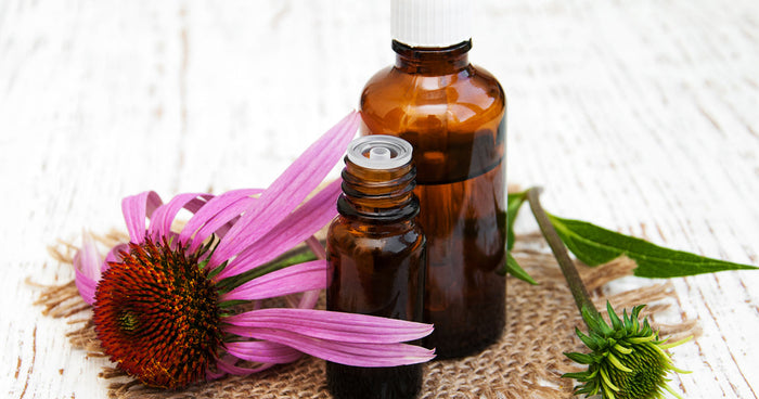 3 reasons to try echinacea this cold & flu season