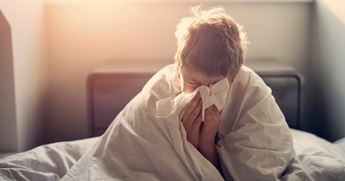 Fight 7 symptoms of cold & flu with andrographis