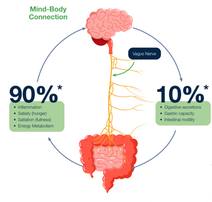 Assessing Vagus Nerve Function Handout