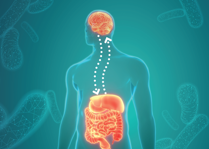 Messengers of the Gut: Microbial Signalling in Gut-Brain Disorders