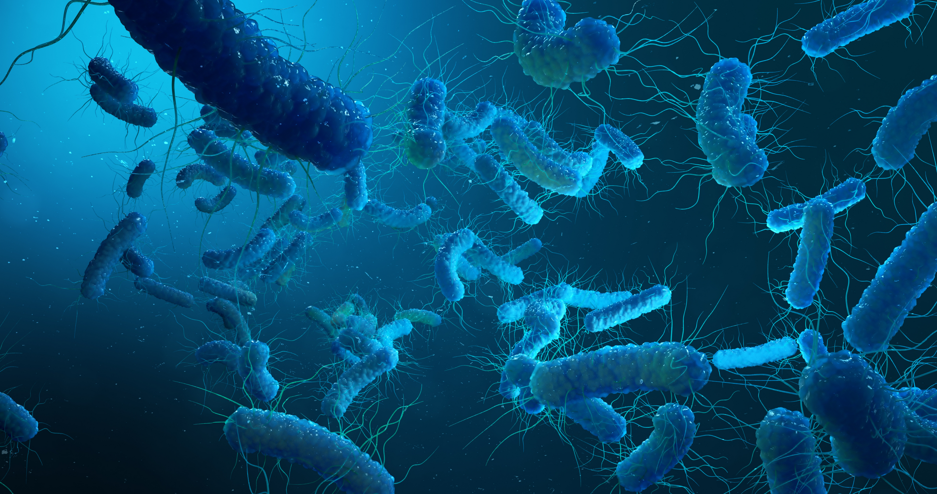 Bile-Tolerant Gram-Negative Bacteria